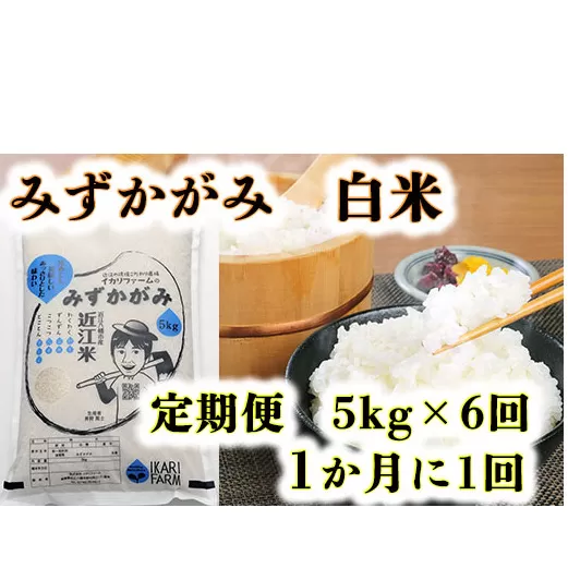 【新米】【7年産】みずかがみ　白米定期便　６か月で５kgを６回お届け（１か月に1回）【C036U2】
