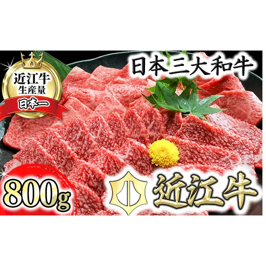 【2月末までに発送】近江牛A5ランク焼肉美味セット【800g】【DG10W-2m】