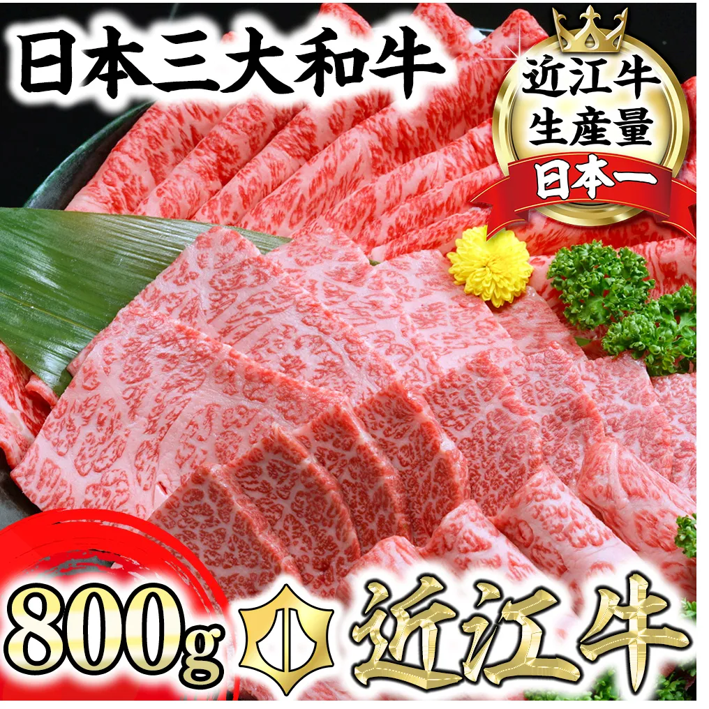 近江牛A5ランク焼肉・すき焼セット【800g】【DG11U】