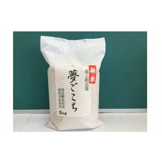 【6年産】近江米夢ごこち【5kg×1袋】【T034U1】