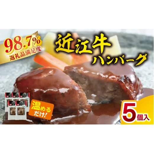 【総本家肉のあさの】近江牛ハンバーグ【600g(120g×5個)】【AE14W】