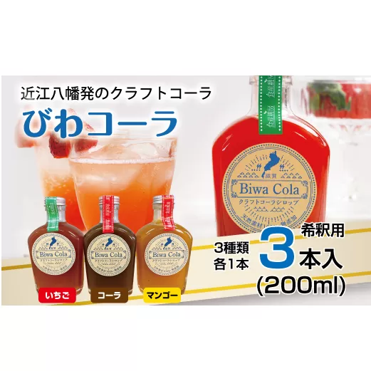クラフトコーラ びわコーラシロップ3本セット【DC04U】