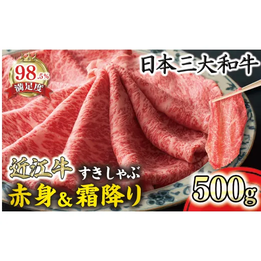 特選近江牛すき焼き・しゃぶしゃぶ用『霜降り・赤身ミックス』500g【寛閑観】【FR04W】