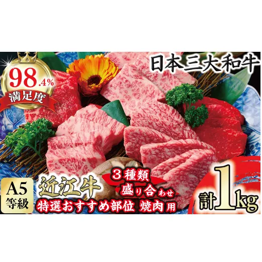 A5等級 未経産雌 特選近江牛おすすめ部位 焼肉3種盛り合わせ 合計1kg【FO04W】
