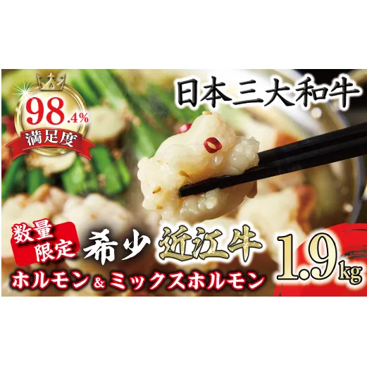 数量限定 希少近江牛ホルモン＆ミックスホルモン 合計1.9kg【FO05W】