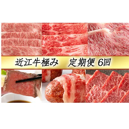【定期便6回】【カネ吉山本】近江牛極み定期便-禄-【Y132U】