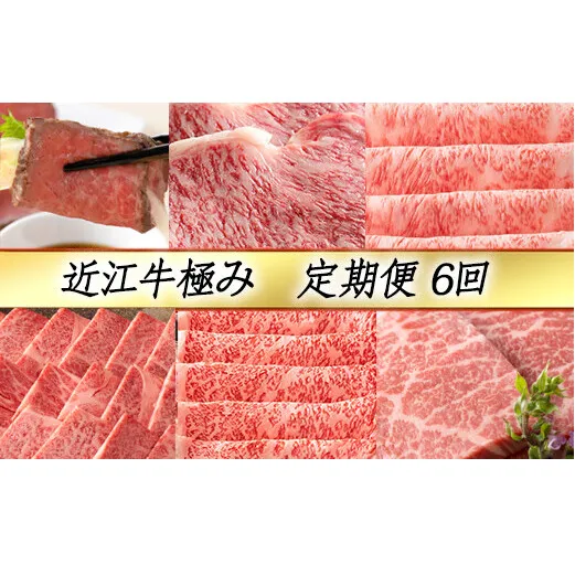 【定期便6回】【カネ吉山本】近江牛極み定期便-慶-【Y133W】