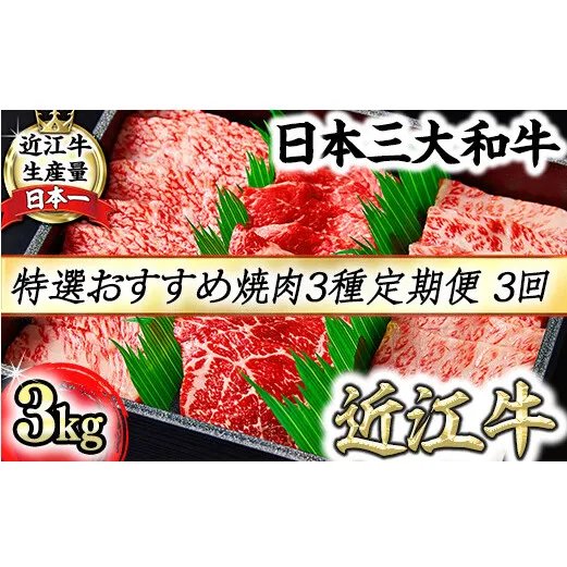 【定期便】A5等級特選近江牛おすすめ部位 焼肉3種（1kg×3回）【FO21W】