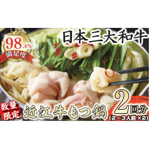 数量限定　ホルモン屋が作った本気のもつ鍋セット　2回分　2～3人前【FO09W】