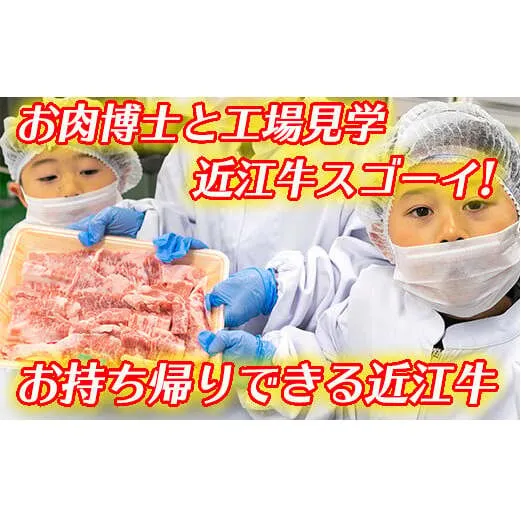 お肉博士と工場見学　近江牛スゴーイ！～お持ち帰りできる近江牛500g付～【CB13U】