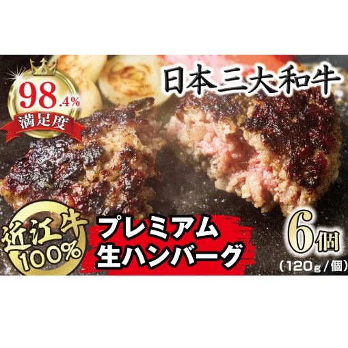 近江牛１００％　プレミアム生ハンバーグ　720g（約120g×6個）【FO18W】