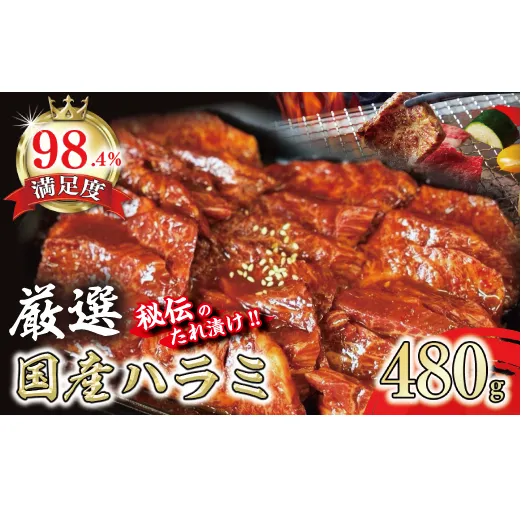 希少　和牛入国産牛　ハラミ480g　秘伝の自家製タレ漬け【FO22W】