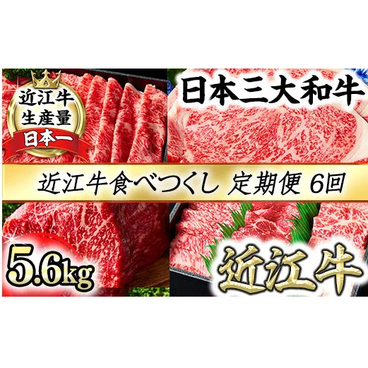 近江牛食べつくし定期便　６回　焼肉　すきしゃぶ　ステーキ【FO17W】