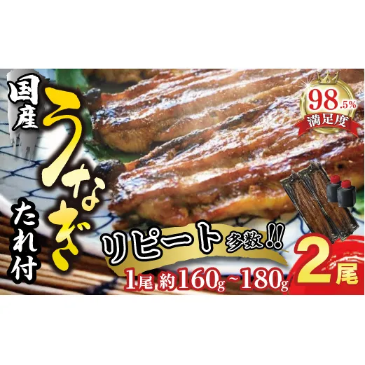 【一度食べたらやみつき！リピート多数 】うなぎ蒲焼２尾セット【D009W】