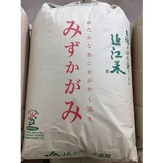 【新米】【令和7年産】環境こだわり米「みずかがみ」玄米【30kg×1袋】【K073U1】