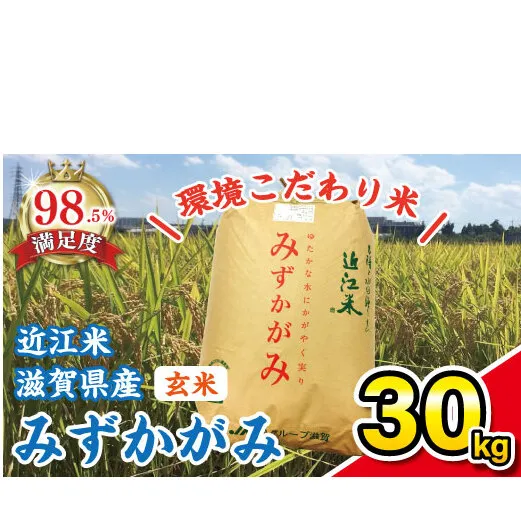 【令和7年産】環境こだわり米「みずかがみ」玄米【30kg×1袋】【K073W】