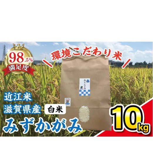 【令和7年産】環境こだわり米「みずかがみ」白米【10kg×1袋】【K074W】
