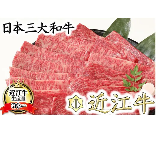 【4等級以上】厳選　近江牛　すき焼き・しゃぶしゃぶ【500g（リブロース250g、モモまたはウデ250g）】【BS01W】