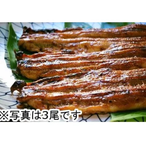【一度食べたらやみつき！リピート多数】うなぎ蒲焼１尾【D008W】