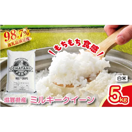 【新米】令和8年産　近江米　ミルキークイーン 白米【5kg×1袋】【V009W2】（滋賀県　近江八幡市）