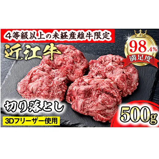 【森三商会】4等級以上の未経産雌牛限定　近江牛切り落とし500g（ロース・肩ロース・ウデ・モモ・バラ）【GM14W】