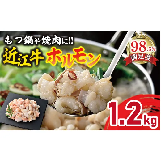 【カメチク】近江牛ホルモン焼肉または鍋用1200ｇ（600ｇ×2）【FK04W】