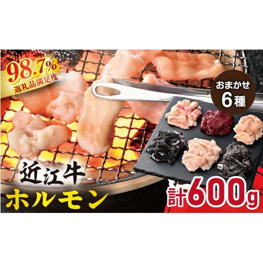 【カメチク】近江牛ホルモンおまかせ6種類【FK06W】(滋賀県 近江八幡市)