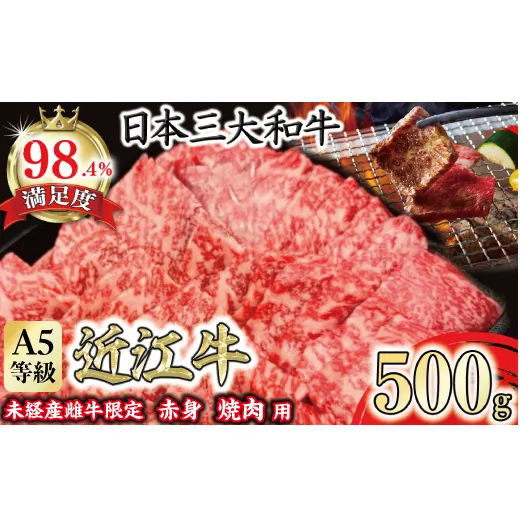 A5等級未経産雌牛　特撰近江牛 赤身 焼肉 500g 折箱入り ギフト【FO40W】（国産牛　和牛　ブランド牛　ブランド和牛　黒毛和牛　牛肉　肉　高級　人気　おすすめ　神戸牛　松阪牛 に並ぶ 日本三大和牛 近江牛）
