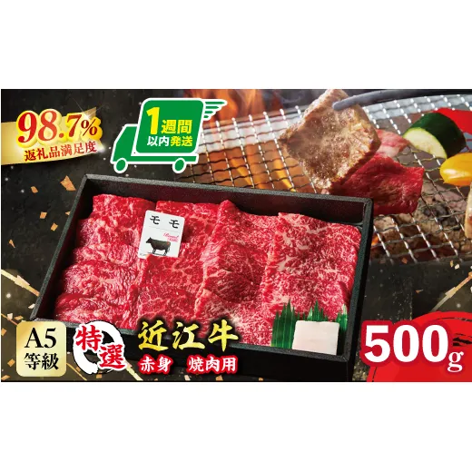 【1週間以内発送】A5等級未経産雌牛　特撰近江牛 赤身 焼肉 500g 折箱入り ギフト【FO40W】