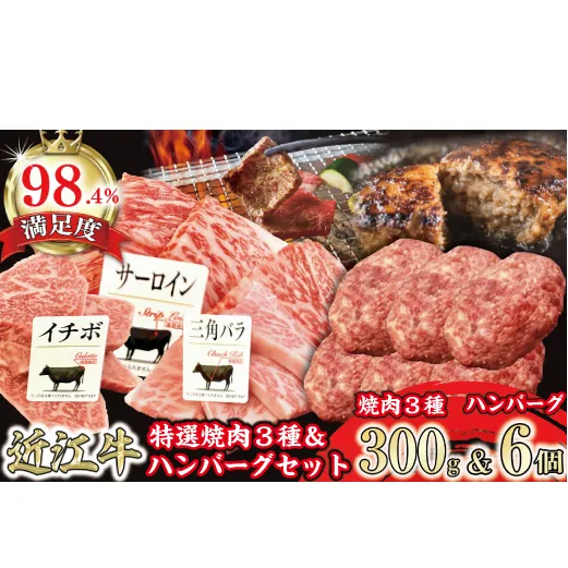 特撰近江牛おすすめ部位　焼肉3種300ｇ＆近江牛生ハンバーグ６個セット【FO41W】