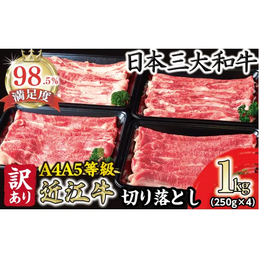 【訳あり】近江牛  切り落とし 250ｇ×4　1kg【A4A5等級】【FO68W】