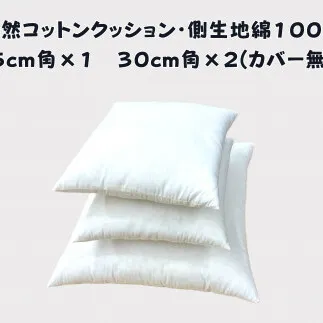 寝室やリビングをおしゃれに飾るベッドクッション（無地、カバーなし）【CW123W】