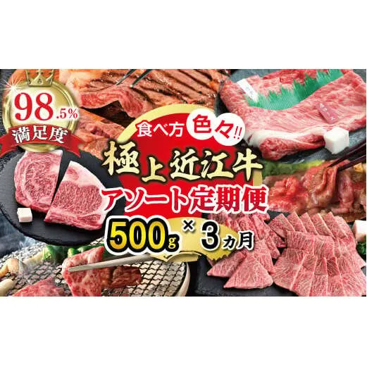 【期間限定】極上近江牛500g　食べ方色々！アソート定期便【ZZ49W】