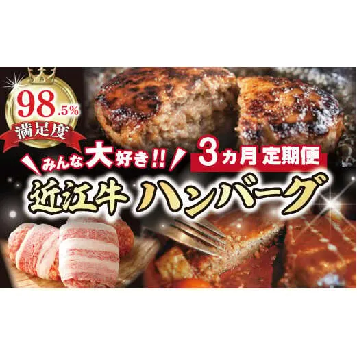 【期間限定】みんな大好き　ハンバーグ定期便【ZZ51W】