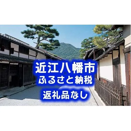 【返礼品なし】滋賀県近江八幡市への応援寄附金　100,000円【OM009W】