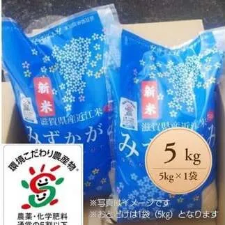 【新米】【7年産】滋賀県近江米「みずかがみ」【環境こだわり米】白米5kg(5kg×1袋)【FM05W】
