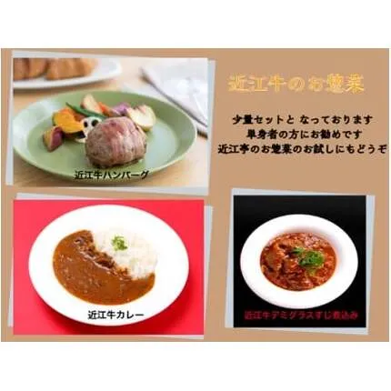 近江牛カレー（200g×1個）・近江牛ハンバーグ（150g×1個）・近江牛デミグラスすじ煮込み（150g×1個）【AB100W】