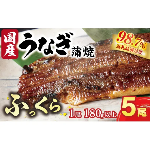 国産うなぎ 備長炭地焼き蒲焼き180g以上×5尾 タレ付き×10【FU05W】