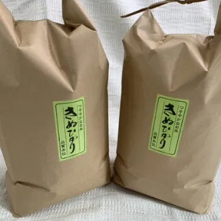 令和7年産　近江米　キヌヒカリ【10kg（5kg×2袋）】環境こだわり米【AB63W】