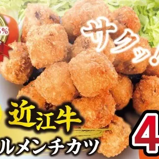 近江牛ボールメンチカツ　40個【AB85W】