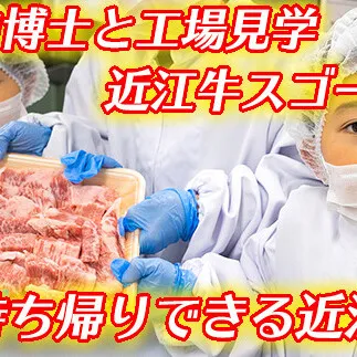 お肉博士と工場見学　近江牛スゴーイ！～お持ち帰りできる近江牛500g付～【CB13W】
