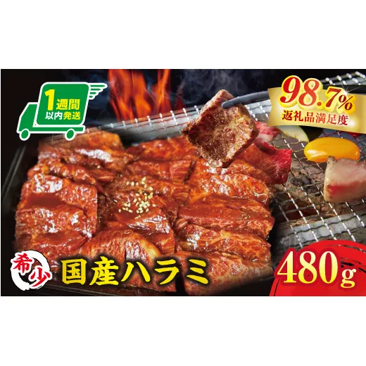 【1週間以内発送】希少 和牛入国産牛 ハラミ480g 秘伝の自家製タレ漬け【FO22W】(滋賀県 近江八幡市)