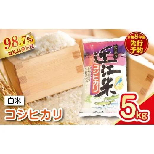【新米　先行予約】令和8年産近江米こしひかり【5kg×1袋】【T037W】
