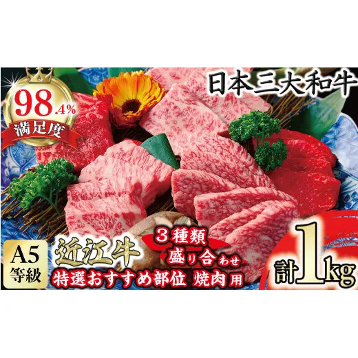 A5等級 未経産雌 特選近江牛おすすめ部位 焼肉3種盛り合わせ 合計1kg【FO04W】	（滋賀県　近江八幡市）
