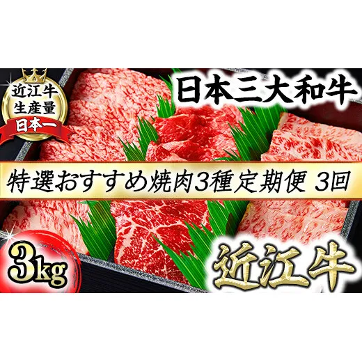 【定期便】A5等級特選近江牛おすすめ部位 焼肉3種（1kg×3回）【FO21W】（滋賀県　近江八幡市）
