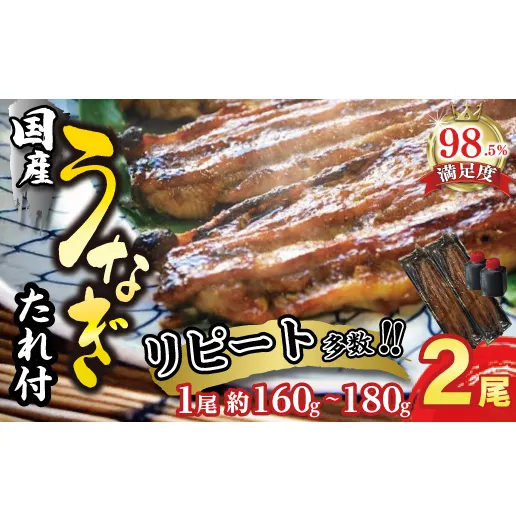【一度食べたらやみつき!リピート多数 】うなぎ蒲焼2尾セット【D009W1】(滋賀県 近江八幡市)