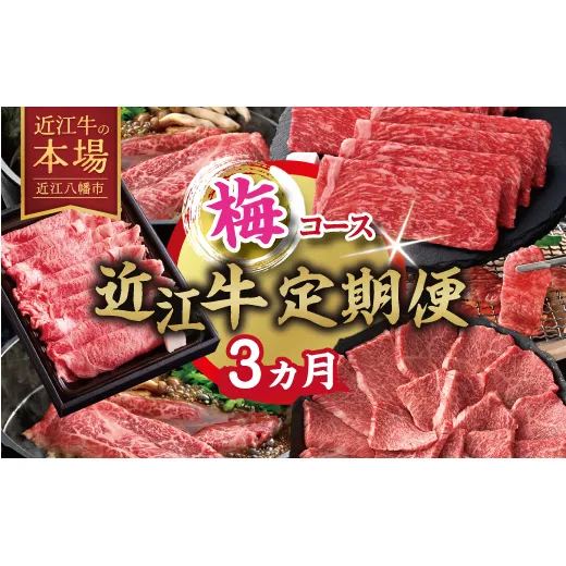 【期間限定】特選近江牛定期便（３カ月）梅コース（近江牛マスター中級編）【ZZ58W】（滋賀県　近江八幡市）