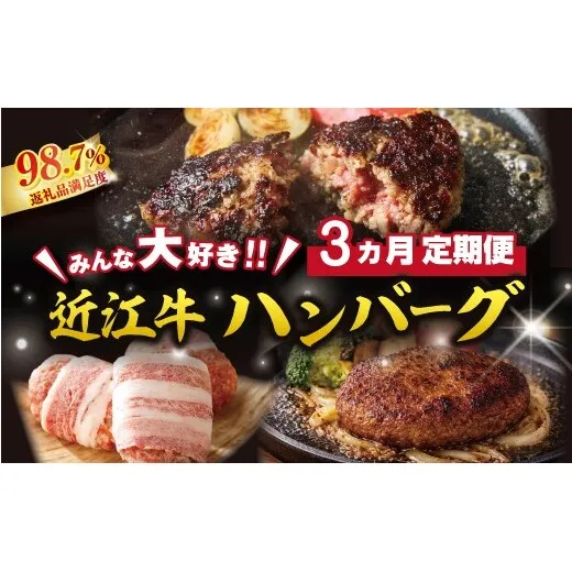 【期間限定】みんな大好き　ハンバーグ定期便【ZZ63W】（滋賀県　近江八幡市）