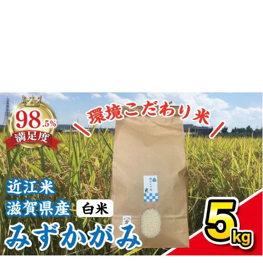 【令和7年産】環境こだわり米「みずかがみ」白米【5kg×1袋】【K124W】