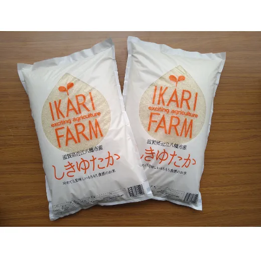 【新米】【7年産】すっごいもちもち 「しきゆたか」 白米【10kg(5kg×2袋)】【C004U1】